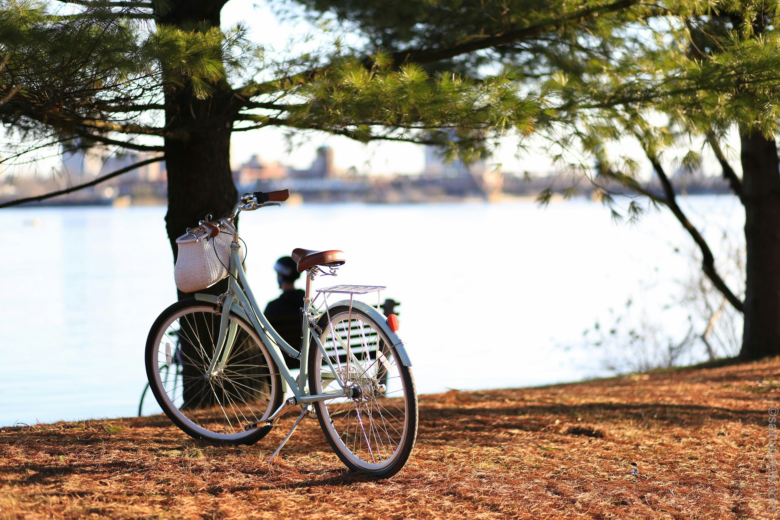 mountain-bike